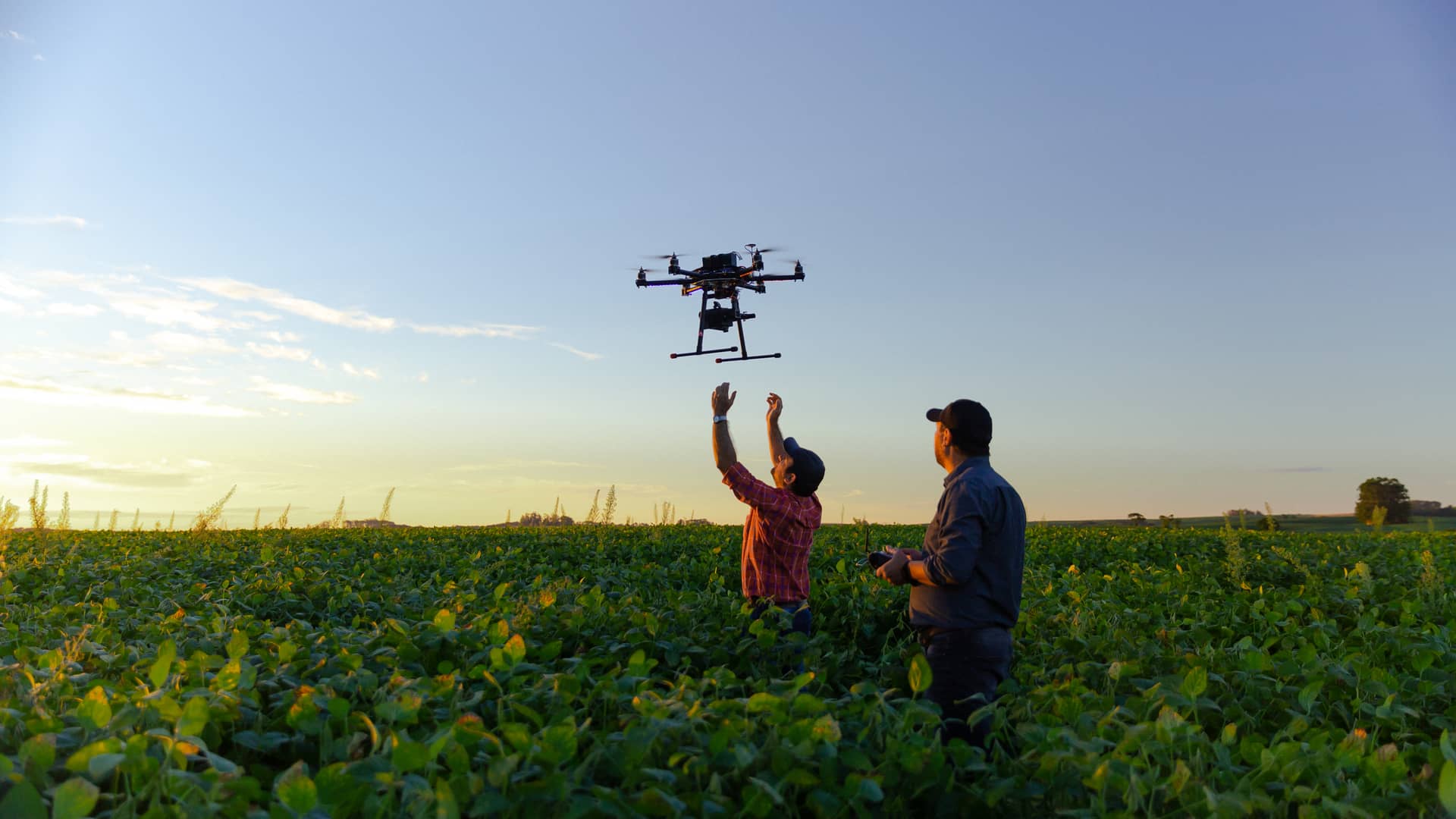Hombre sobrevolando su dron con seguro allianz por cultivo de soja