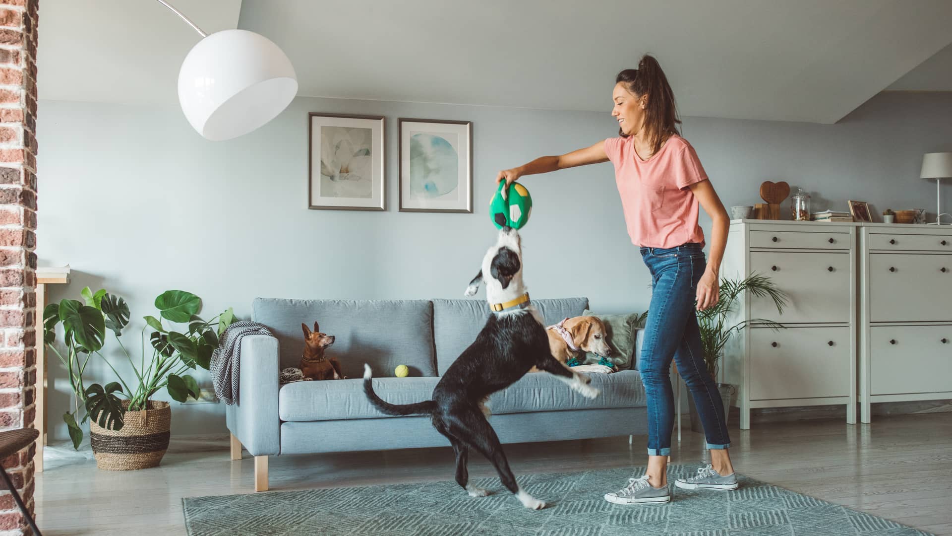 Mujer jugando con uno de sus perros a los cuales tiene asegurados con un seguro de mascotas de atlantis