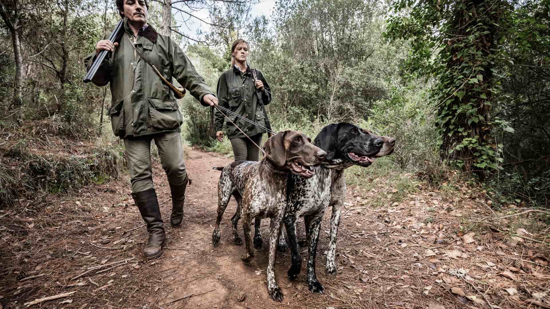 Axa seguro caza: para perros, contratar, precio y renovar