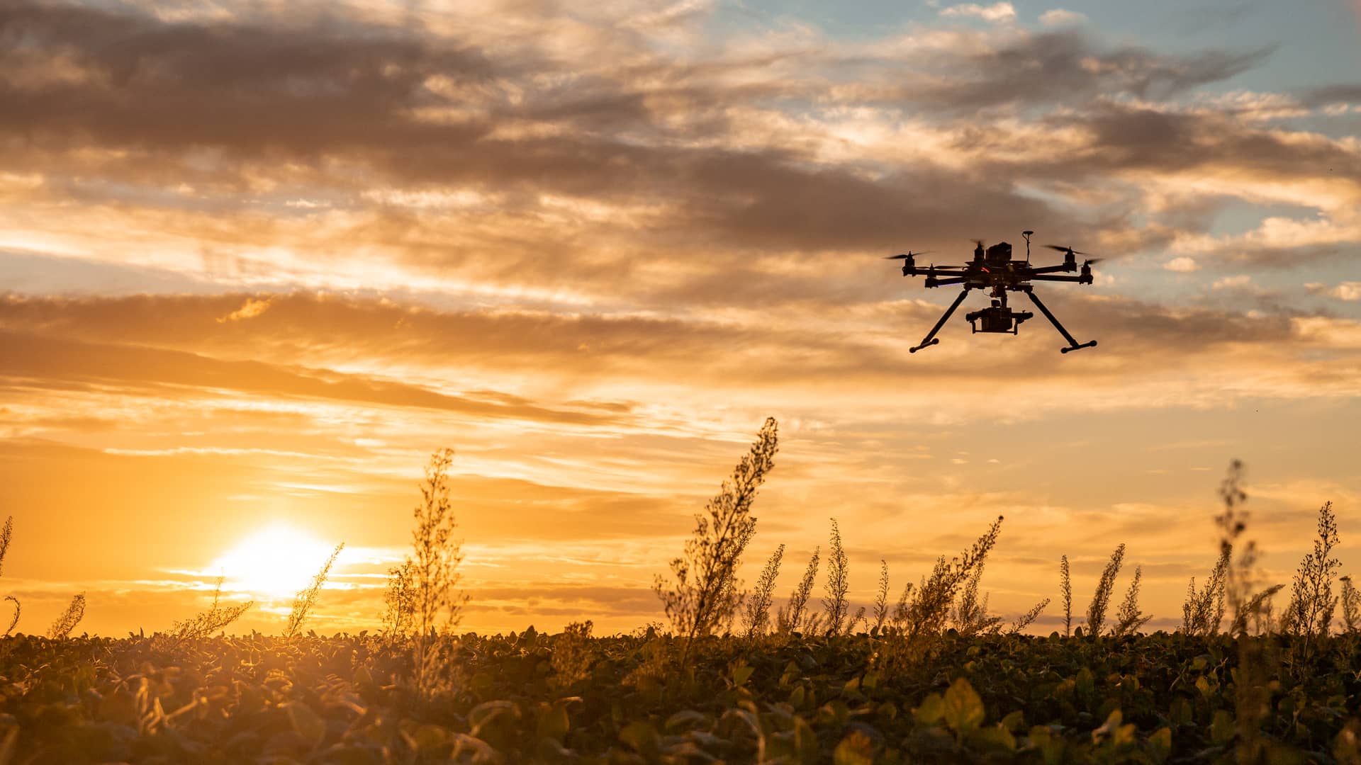 Persona usando su drone con seguro con mapfre para vigilar sus cultivos