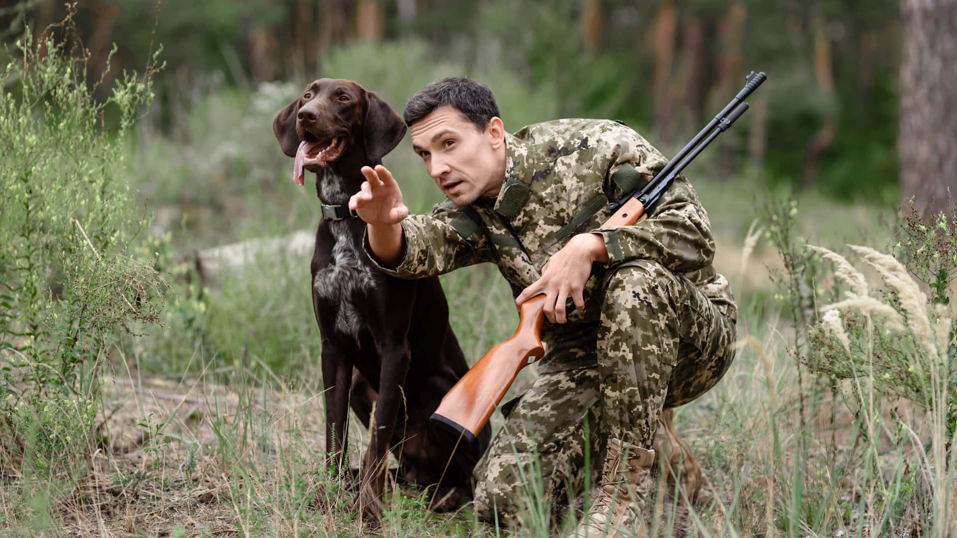 Seguro de caza Zurich: coberturas, teléfono, armas y perros de caza