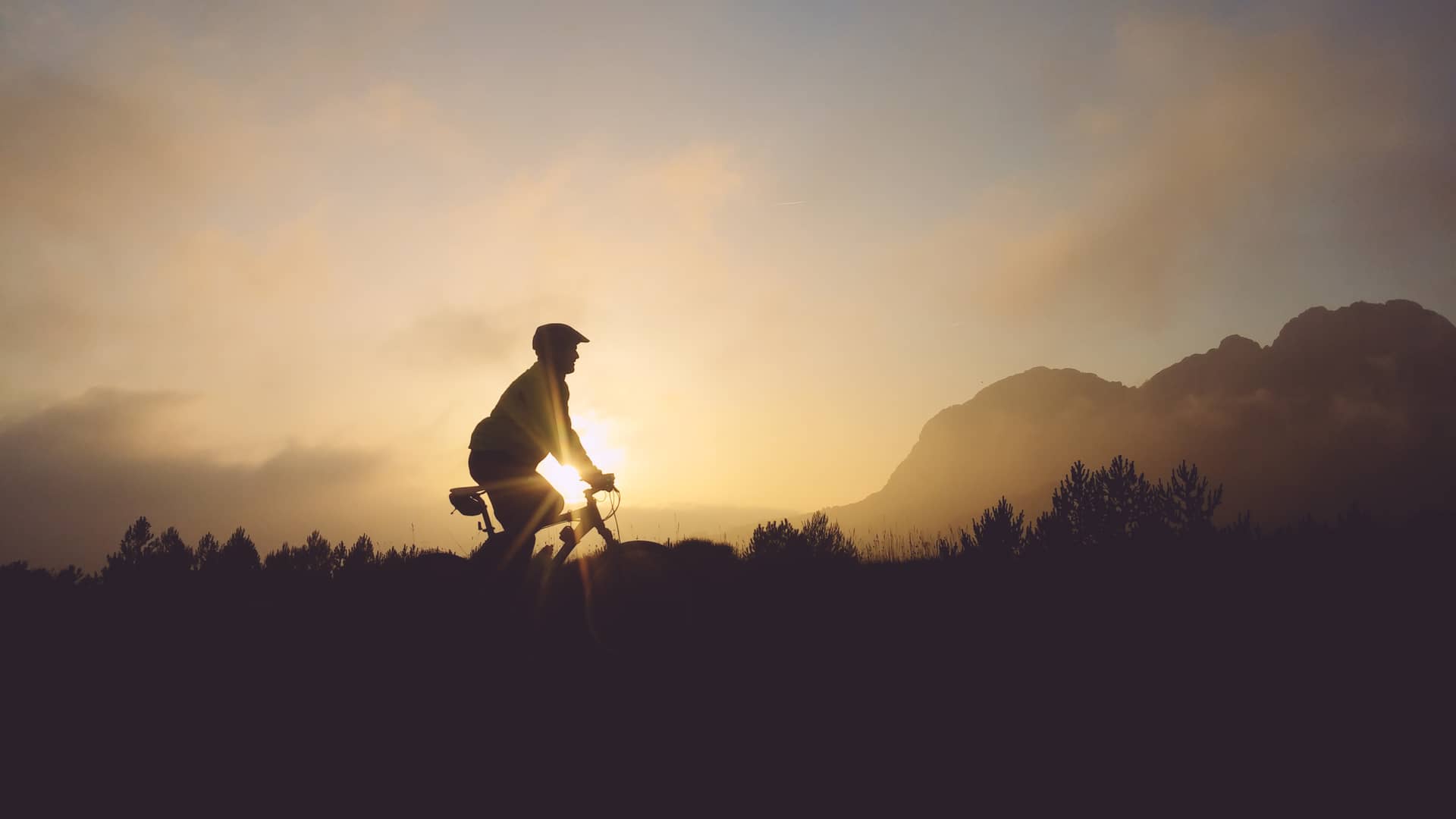 Seguros para bicicletas de montaña: precios y coberturas