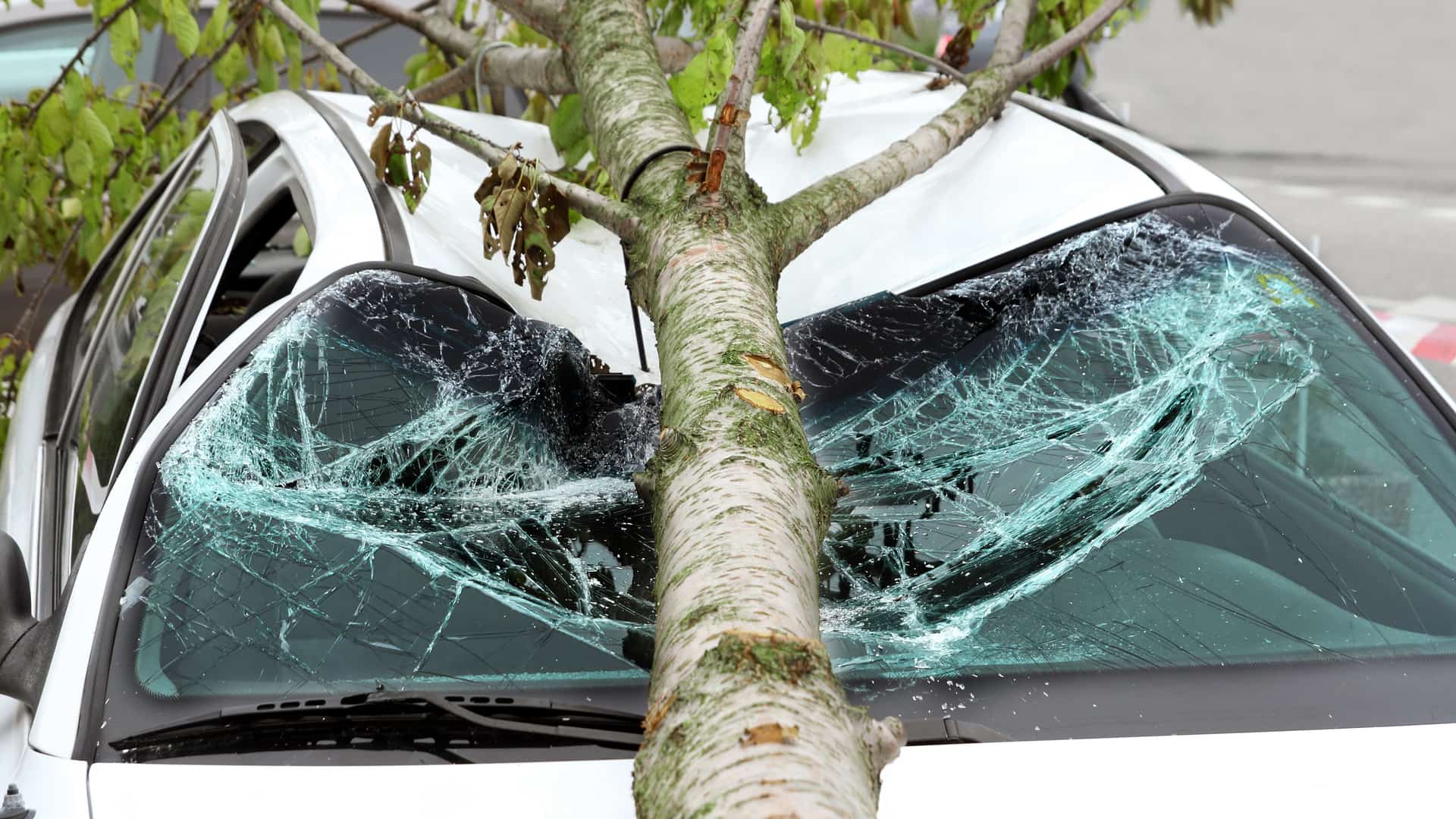 Automóvil dañado por castastrofe natural y el cual su dueño será indemnizado por consorcio de seguros