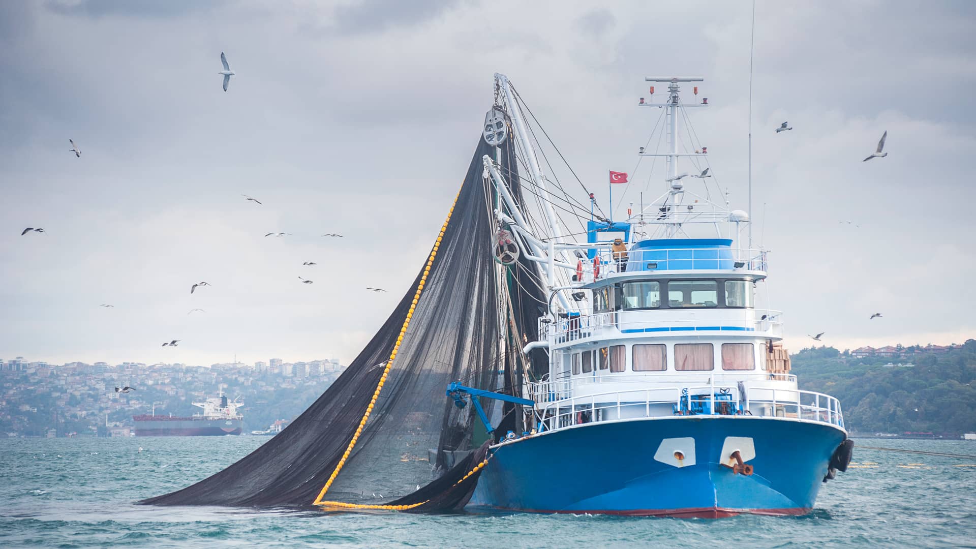 Seguro de embarcaciones de pesca: ¿es obligatorio?