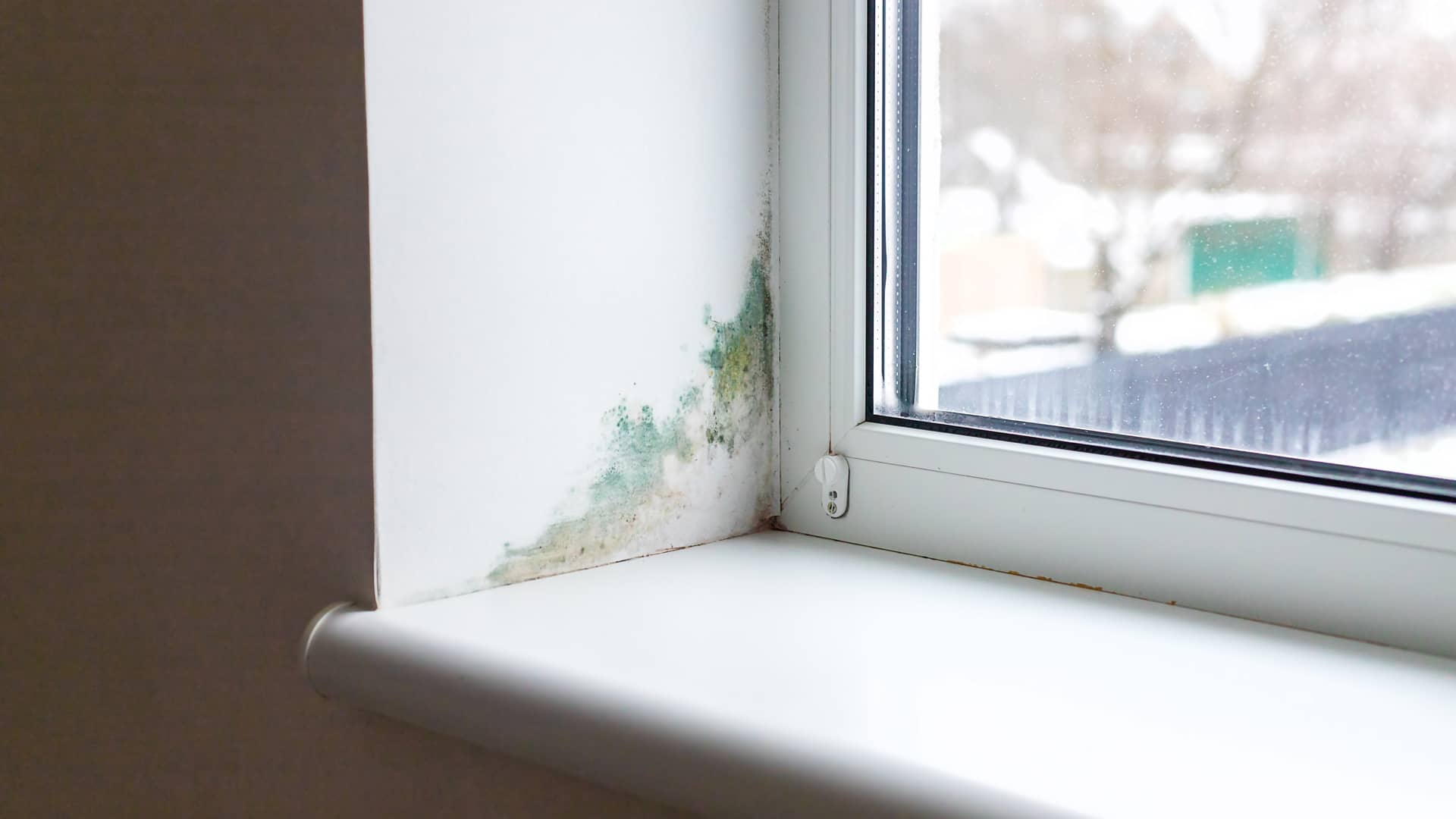 Una ventana con humedades en la pared de al lado que son un problema que el seguro de hogar cubre