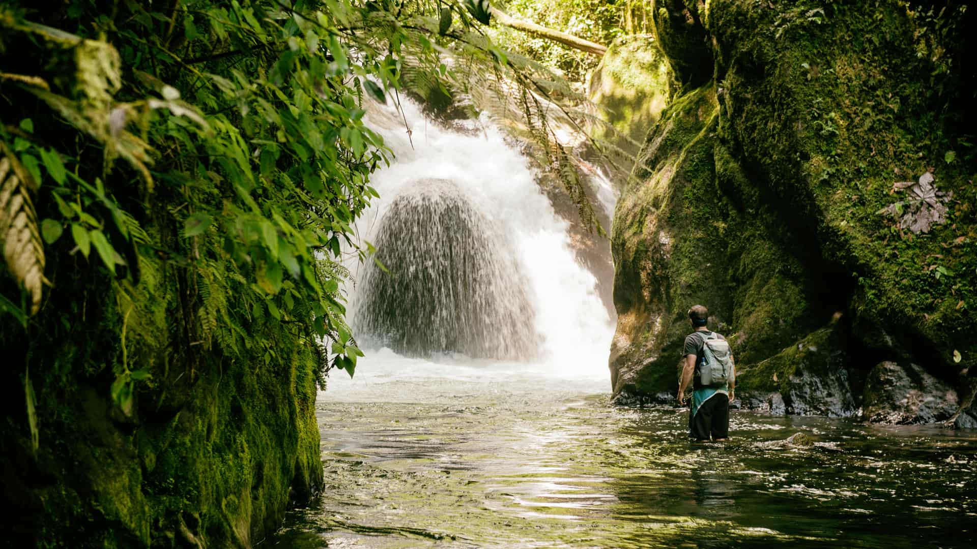 Persona adentrandose en la selva de Ecuador para cuyo viaje contrató un seguro