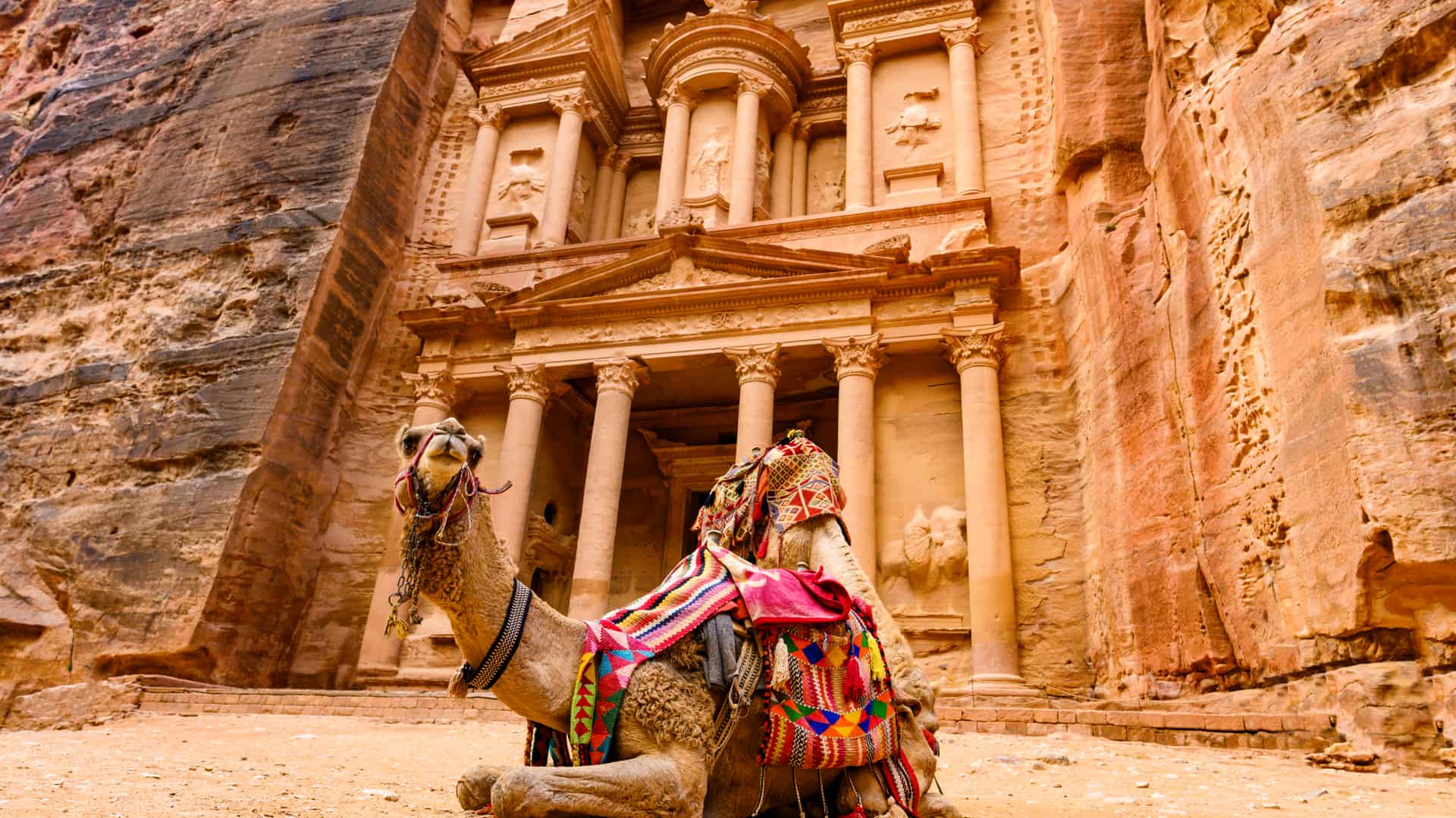 Camello frente a Khazneh en la ciudad de Petra perteneciente a Jordania, lugar para el cual se puede contratar un seguro de viaje