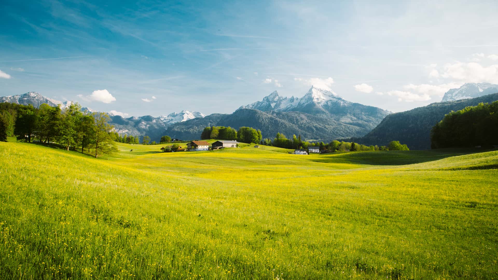 Paisaje idílico en los Alpes por la parte Suiza con prados florecientes en primavera para donde es posible contratar un seguro de viaje