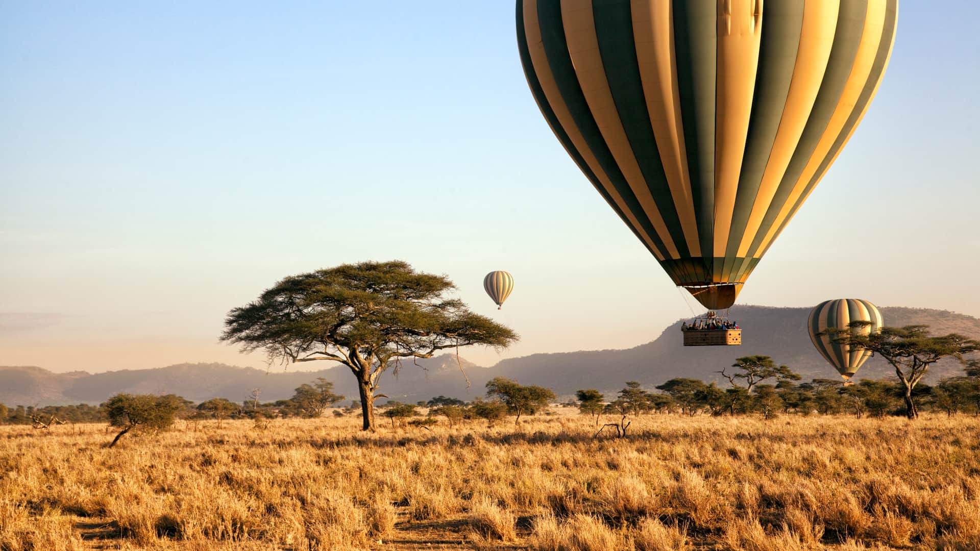 Paseo en globo aerostático sobre el Serengeti, Tanzania para cuyo viaje se ha contratado un seguro