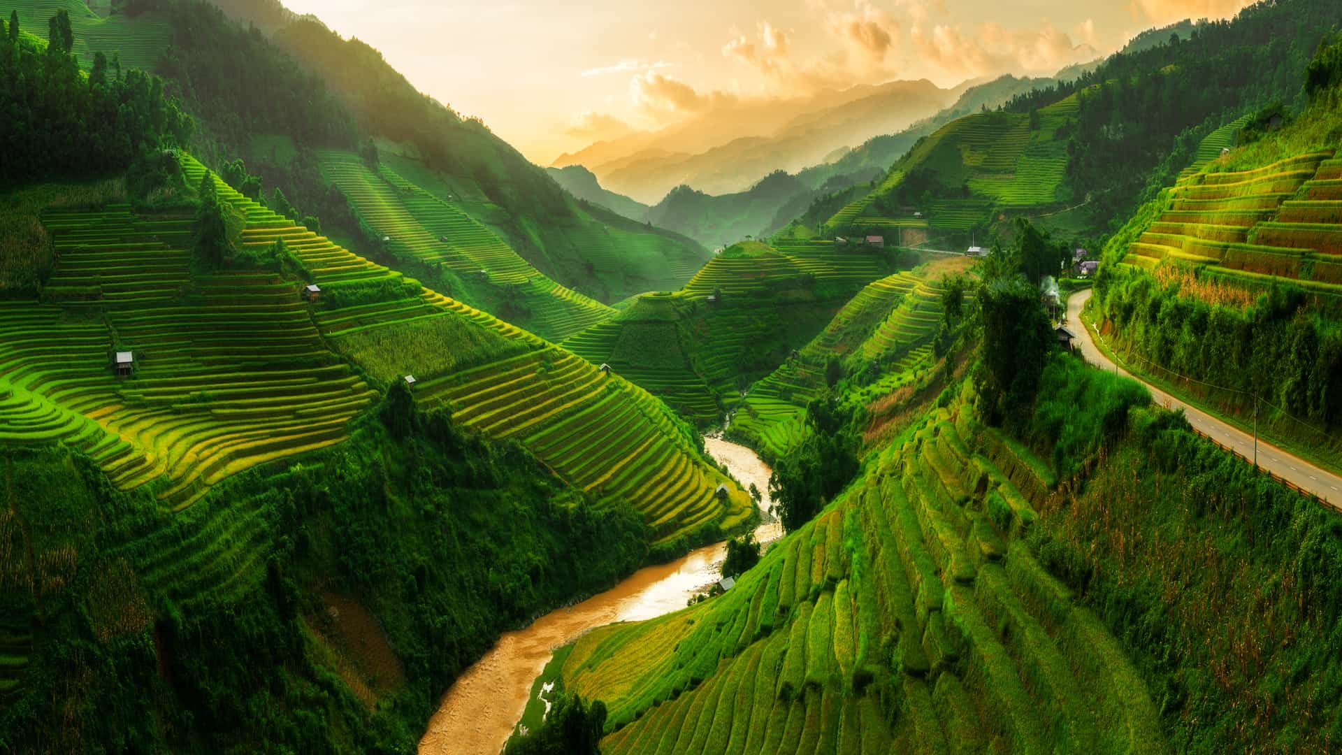 Seguro médico para viaje a Vietnam: ¿cuáles son los mejores?